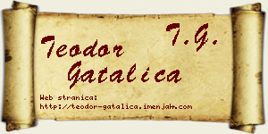 Teodor Gatalica vizit kartica